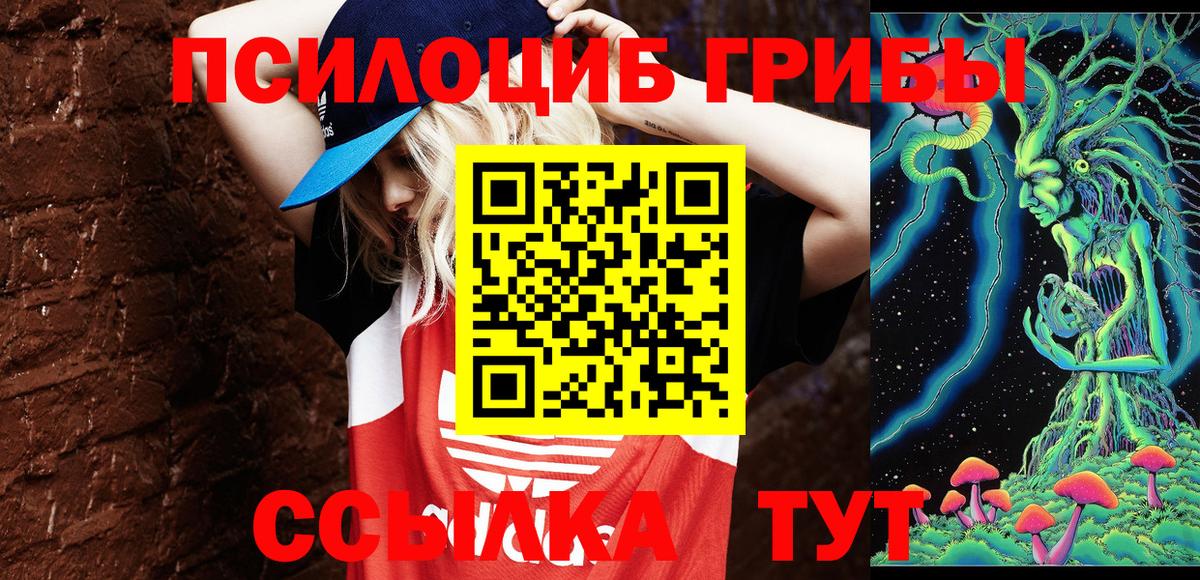 Псилоцибиновые грибы мицелий Нерюнгри