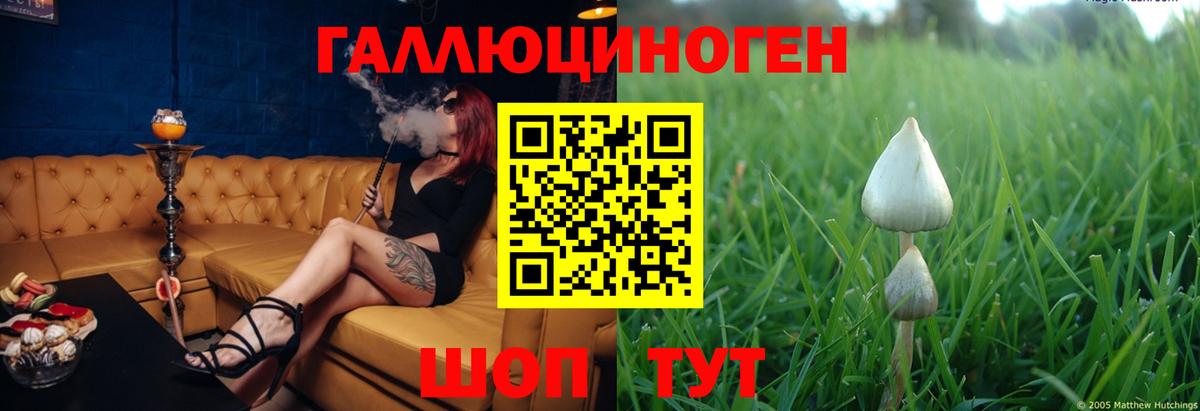 Нерюнгри  где купить наркотик  Вход с VPN  Галлюциногенные грибы прущие грибы 